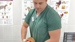 Ветеринарный центр Оптима вет изображение 9