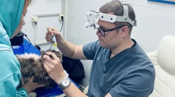 Ветеринарный центр Оптима вет изображение 5