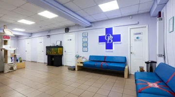 Ветеринарный центр Оптима вет изображение 10
