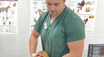 Ветеринарный центр Оптима вет изображение 9