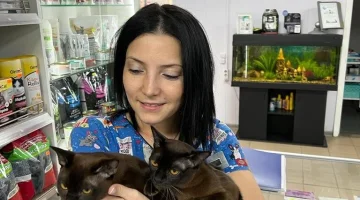 Ветеринарный центр Оптима вет изображение 18